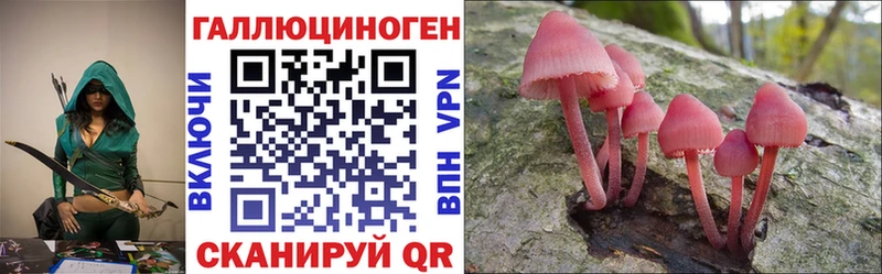 где найти   Нерчинск  Псилоцибиновые грибы Cubensis 