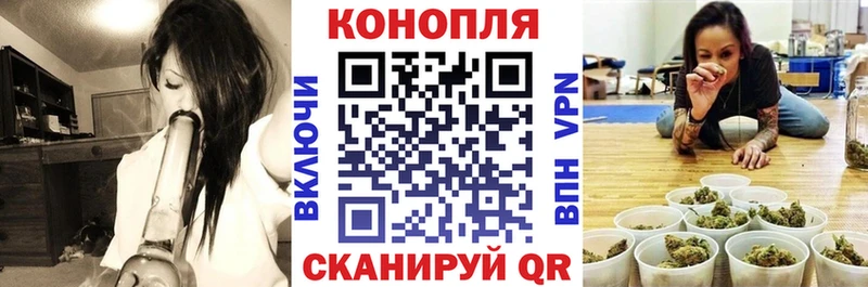 наркошоп  Нерчинск  KRAKEN ONION  Бошки марихуана White Widow 